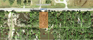 0 Hwy 54 Unit 1036943, Polk City, FL 33868