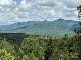 113 Valley View Trail Unit 323, Nebo, NC 28761