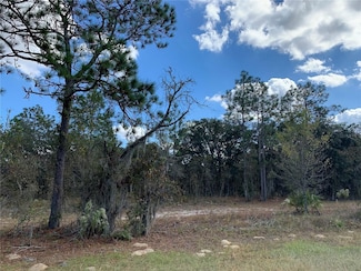 7100 Florida 121, Morriston, FL 32668
