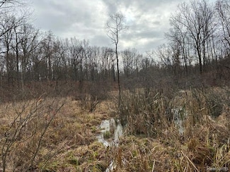 2.76 Perry Lake Blvd, Brandon Township, MI 48462