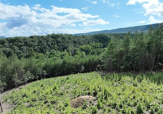 N Texas Rd, Delray, WV 26714