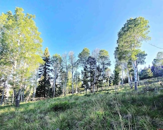 284 Kebler Trail, Powderhorn, CO 81243