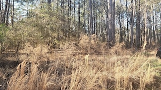 0000 Hard Pinch Rd, Moncks Corner, SC 29461