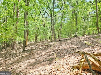 0 Turnbury Ln Unit 10528152, Big Canoe, GA 30143