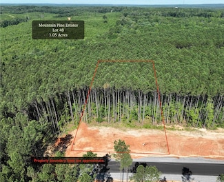 TBD Mountain Pine Rd Unit Tract 48, Mabelvale, AR 72103