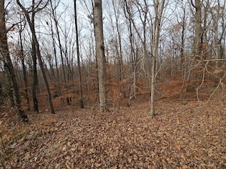 Lots 3-4 Powhatan Rd, Clarksville, VA 23927