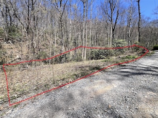 000 Pisgah Mountain Rd, Canton, NC 28716