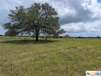 TBD Cr 390, Gonzales, TX 78629
