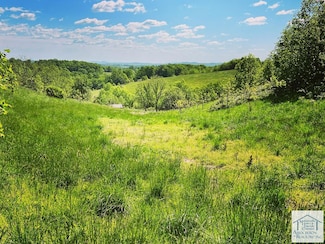 TBD Hylton Hollow Ln, Woolwine, VA 24185