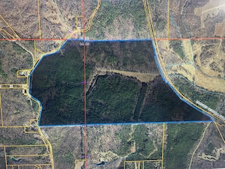 0 Cr 343 Tract 8 Dr Unit 10199118, Glen, MS 38846