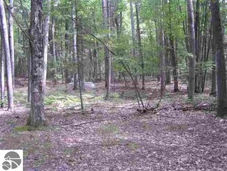 0 Sparton Rd, Tawas City, MI 48763
