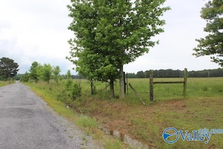 4000 County Road 400, Grove Oak, AL 35975