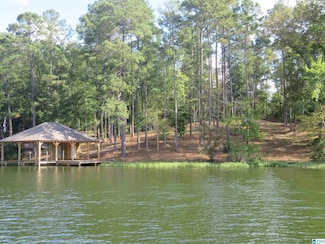 1830 Mimosa Point Rd, Rockford, AL 35136
