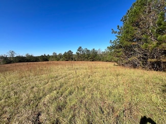 0 County Road 191 Unit 22466250, Knoxville, AL 35469