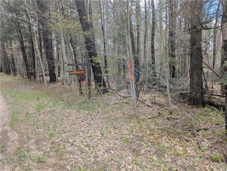 7418 Pennysettlement Rd, Lyonsdale, NY 13433