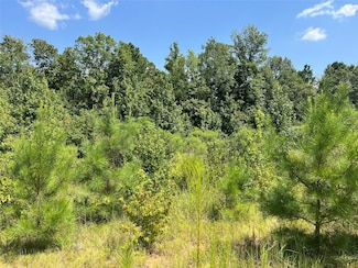 0 Ellis Jones Rd, Bienville, LA 71008