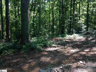00 Warrior Creek Rd, Gray Court, SC 29645