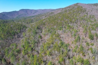 0 Peeples Lake Rd Unit LotWP001 22862295, Chatsworth, GA 30705