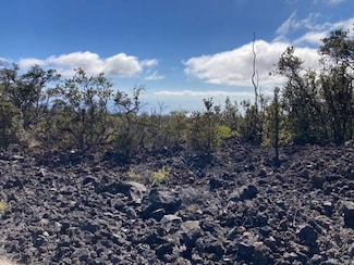 92-8447 Pineapple Pkwy, Ocean View, HI 96704