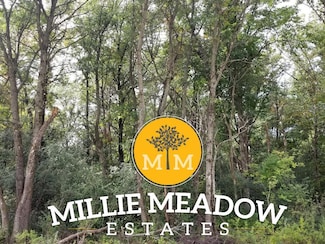 4009 Millie Meadow Dr SW, Rochester, MN 55902