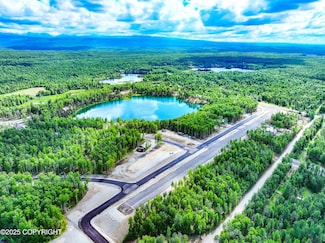 20057 E Caswell Lakes Rd, Willow, AK 99688