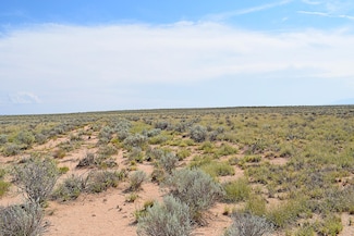 Lot 10 Rio Del Oro Loop Unit 53, Los Lunas, NM 87031
