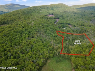 1 Galway Rd, Windham, NY 12496