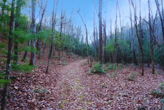 LT 23 Shelton Springs S D, Hayesville, NC 28904