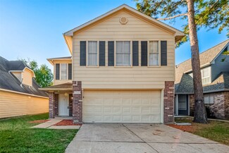 17619 Pattiglen Dr, Houston, TX 77084