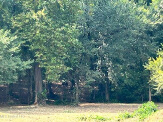 1 Fogg Rd, Nesbit, MS 38651