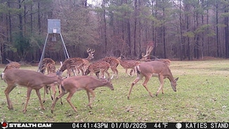 53 McGee Ln, Pineville, LA 71360