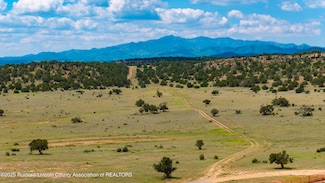 331 Pine Lodge Rd, Capitan, NM 88316