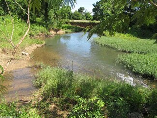 951 Martin Creek Rd, Williford, AR 72482