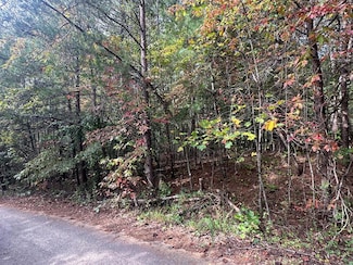 Lot 14 Pine Grove Dr, Epworth, GA 30541