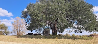 3432 County Road 206, Cameron, TX 76520