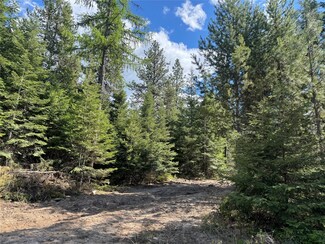 Lot 11B Copper Ridge Rd, Trout Creek, MT 59874