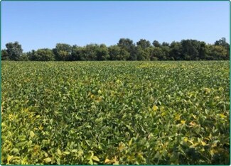 3181 Linn-Buchanan Rd, Coggon, IA 52218