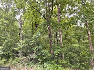 0 Napier Dr SW Unit 10448037, Eatonton, GA 31024