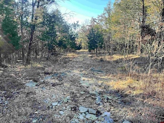 001-06576-000 Round Robin Ln, Theodosia, AR 72687