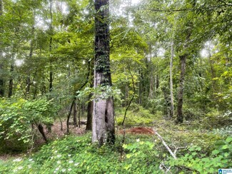 Lot 6 River Dr Unit Lot 6, Shelby, AL 35143