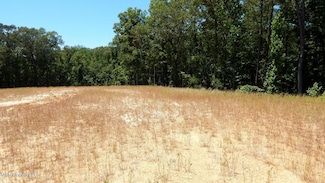 204 Hugh White State Park Rd, Grenada, MS 38901