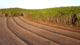 000 Co Rd 101, Moulton, AL 35650