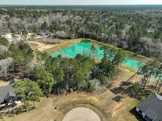 26601 Buchanan Ct, Magnolia, TX 77355