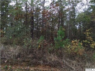 19 Sylvia Dr Unit 19, McCalla, AL 35111