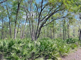 0 NW 30th St Unit MFRGC529544, Chiefland, FL 32626