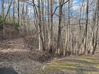 0 Sedgewick Rd, the Cliffs Valley, SC 29690