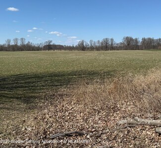 0 Moyer Rd Unit 287357, Williamston, MI 48895