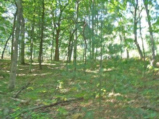 0 W Fossitt Rd, Newberry, MI 49868