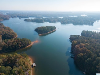 LOT 24 & 25 Jennys Ln Unit 24/25, Wedowee, AL 36278