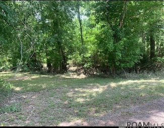 0 Amite River Rd Unit BR2025009491, Shenandoah, LA 70817